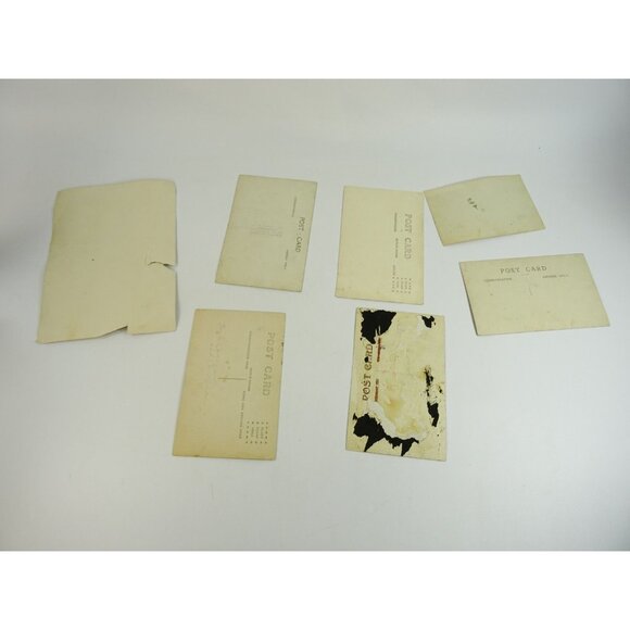 Antique Photos Lot Portraits Photographs Wedding Baby Horse Grandma Sibling 28pc - Picture 10 of 16